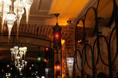 Professional Service